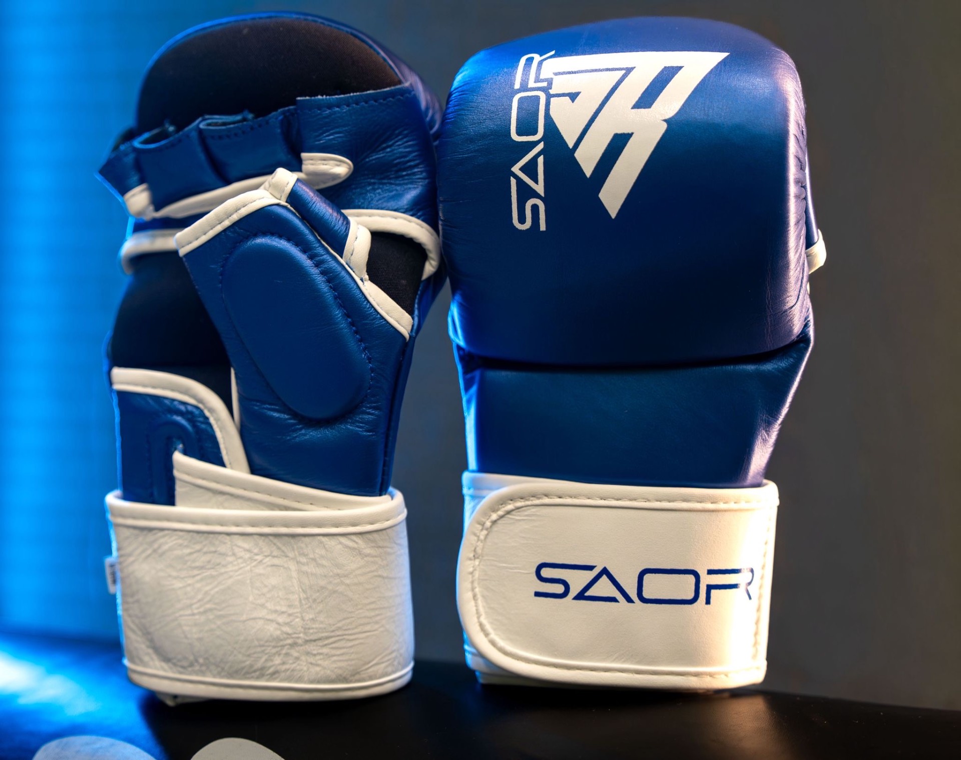 SAOR signature gloves